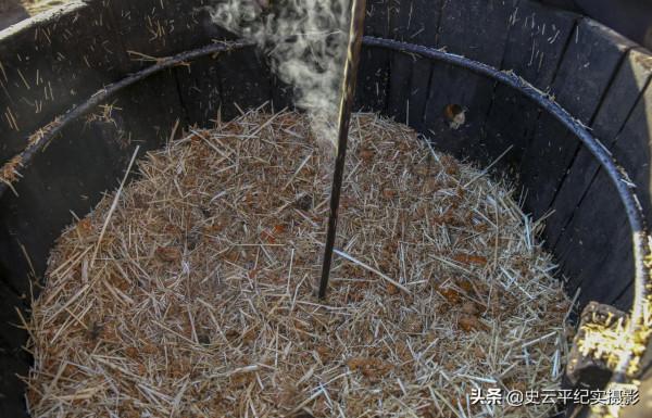 大山裡農民用祖傳木桶釀製柿子酒，口感純正好喝不上頭，啥情況