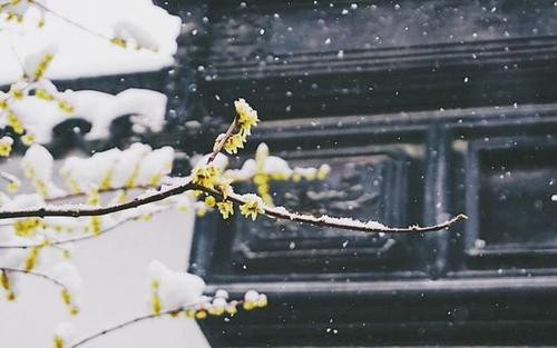 李煜寫了一首詩，卻被古人謾罵不休，還傷害了喜歡自己的女人