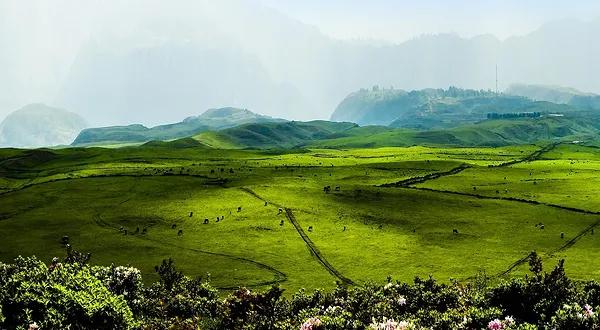 你瞭解貴州嗎？你知道貴州最該去的美景是那些嗎？