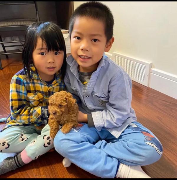 養狗(散文) 養狗(散文)