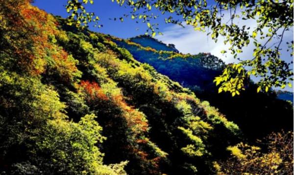 這個秋天,待疫情結束,牽手去旅行 這個秋天,待疫情結束,牽手去旅行