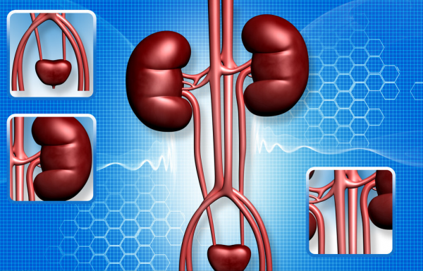 新一代地平，強效平穩持久降壓、改善心肌缺血、穩心率、保護腎臟
