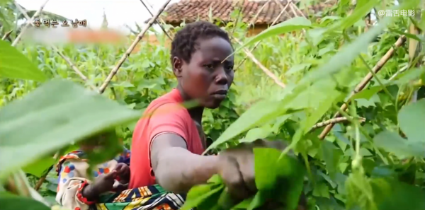 太心酸,非洲一家窮得只剩一口鍋,孩子餓得偷鄰居食物!紀錄片 太心酸,非洲一家窮得只剩一口鍋,孩子餓得偷鄰居食物!紀錄片