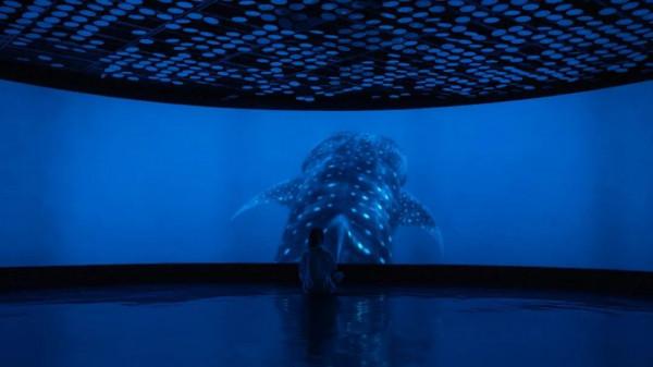 打卡！同濟這個神秘浪漫“基地”火出圈