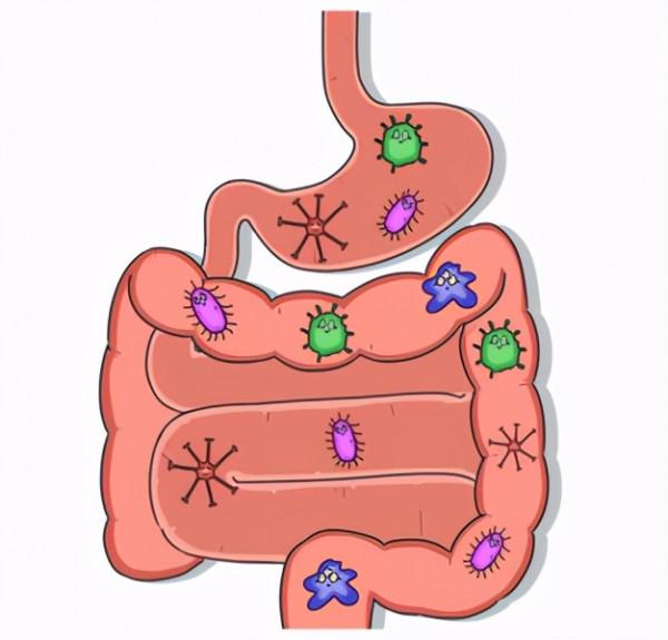 吃什麼能快速解酒？蜂蜜、濃茶都沒用！真正有效的方法是這2個