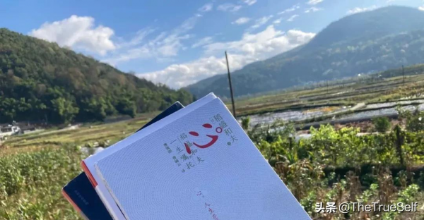 2021，我學會的十件事