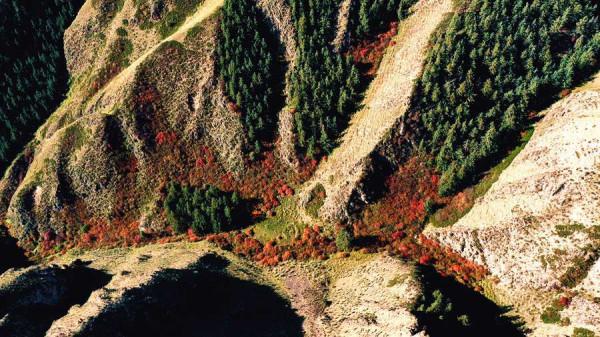 甘肅肅南：如詩如畫秋意濃