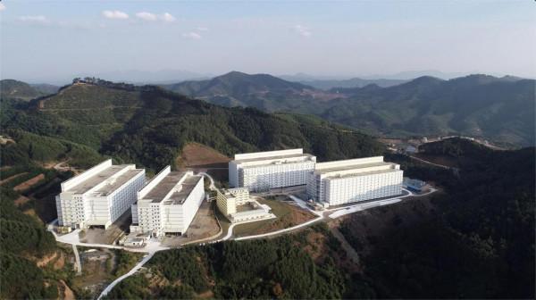 9層豪華“酒店”居住8000頭母豬，上下電梯不掃圈不喂料，長啥樣