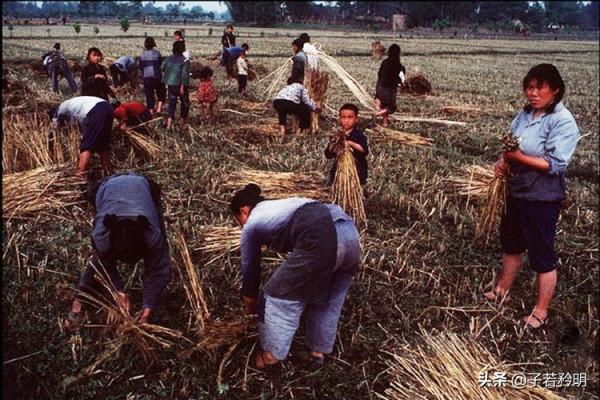 撿到金印上交國家，現今金印增值2億，老農該向國家追要獎勵嗎？