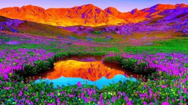 超美的自然風光分享（六十多幅畫）