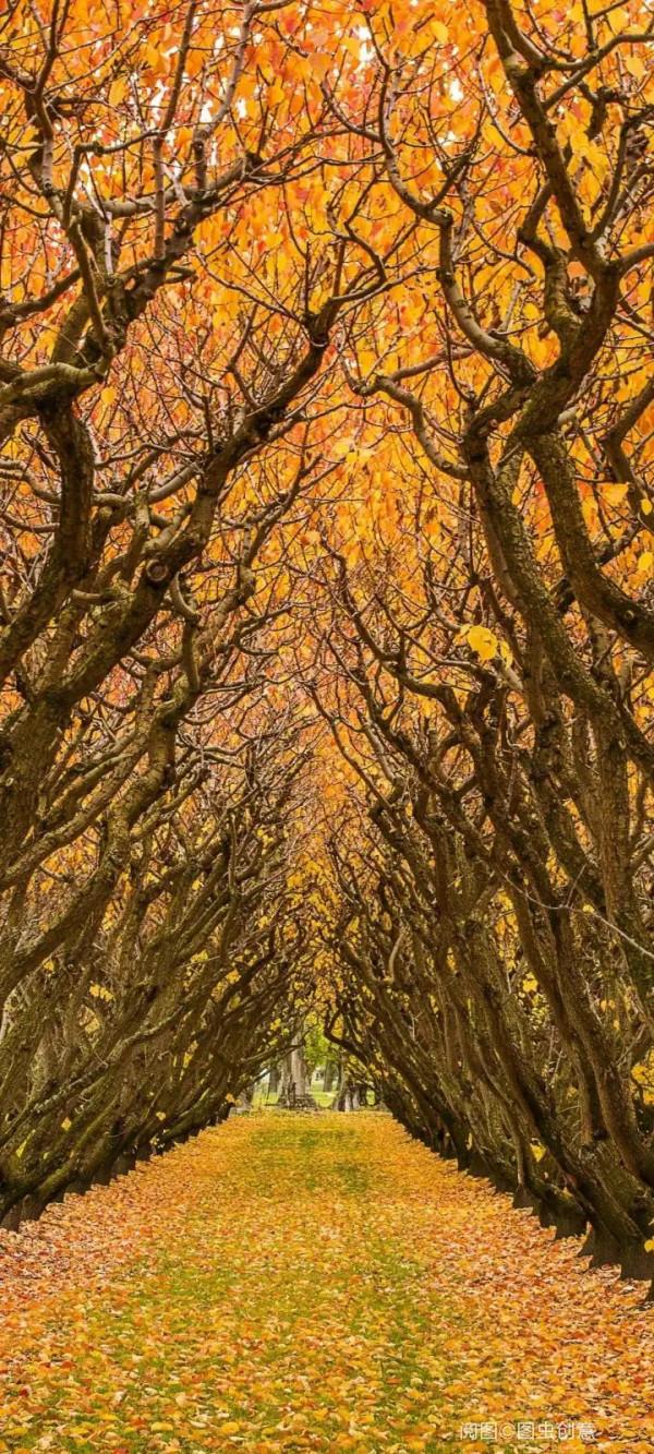 語言活動教案《地球我的家》