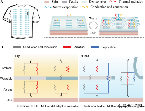 科學家:冬暖夏涼的新衣物,可開啟冷卻通風口 科學家:冬暖夏涼的新衣物,可開啟冷卻通風口