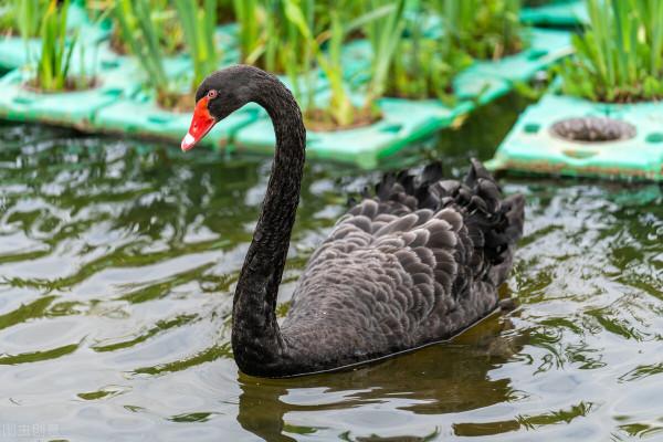 懂得人情世故,日子才能過得風生水起 懂得人情世故,日子才能過得風生水起