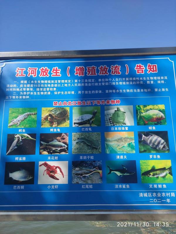 為什麼這些人如此悠閒? 為什麼這些人如此悠閒?