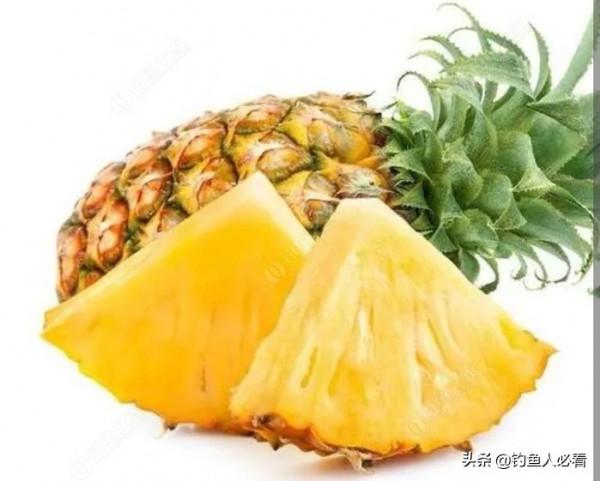 黑坑、半野生的塘子都可以用的釣魚新增劑，好用還省錢