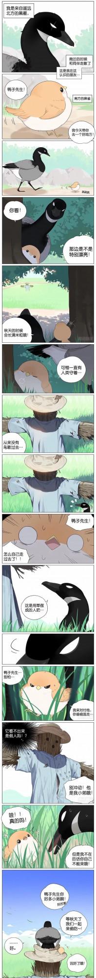 漫畫:《南方的鳥和北方的鳥》 漫畫:《南方的鳥和北方的鳥》