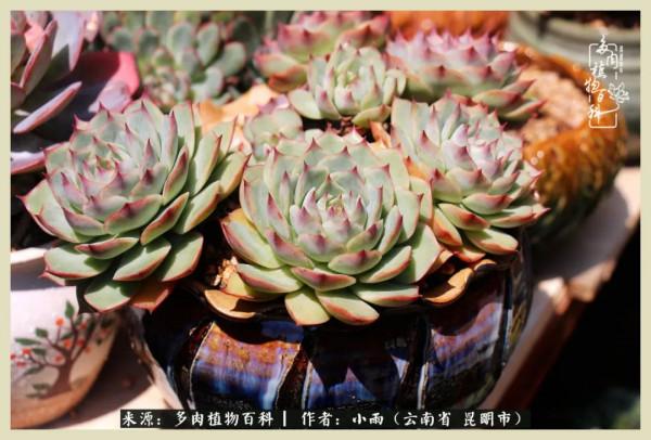 用一份熱愛，溫暖一段時光