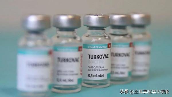土耳其國產疫苗TURKOVAC收到大量來自國外的需求