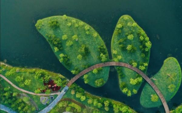 花博記憶丨這是開在記憶深處的一朵花 花博記憶丨這是開在記憶深處的一朵花