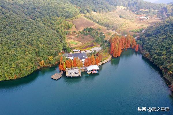 冷灣水庫，紅杉絢爛，豪門人家，水岸風景