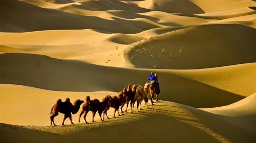 沙漠世界地質公園風光