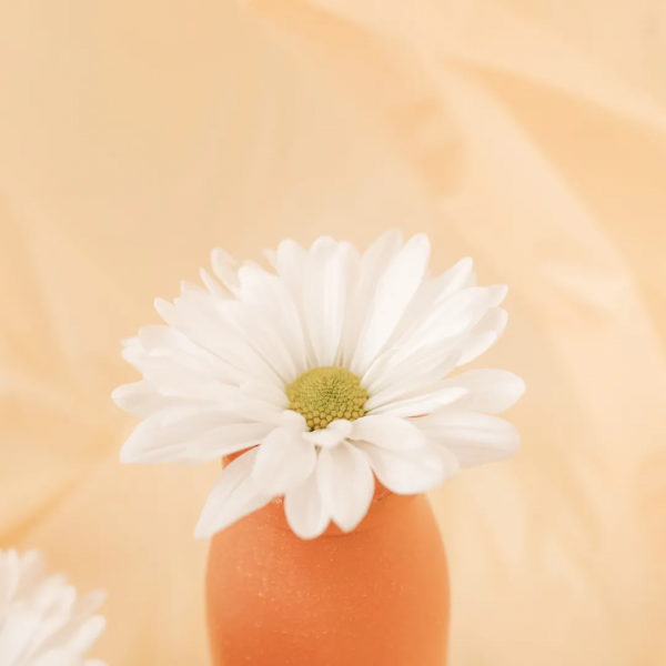 別等頭髮花白才說“我要出去走遠方”，趁冬日暖陽，遇見恰好風景