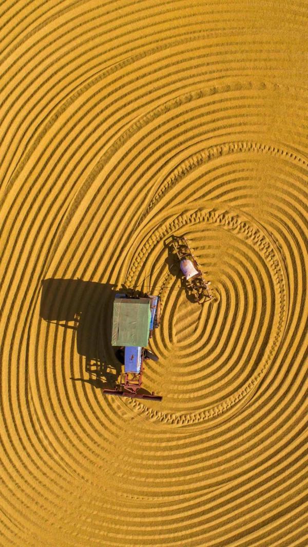 儒宗十六字心訣之奧義（五）