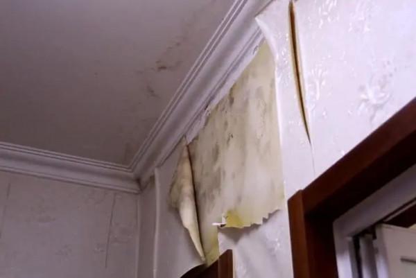 忍了10年之後，夫妻倆終於爆改了海淀區老破小