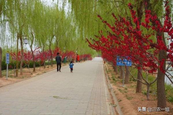 天氣預報：明日立春，天氣晴朗溫暖，有啥預兆？看農村諺語咋說