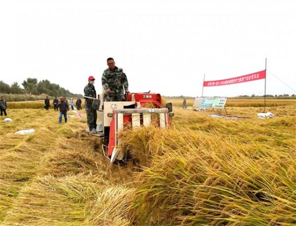 什麼是生產建設兵團?中國最特殊省級區劃 什麼是生產建設兵團?中國最特殊省級區劃