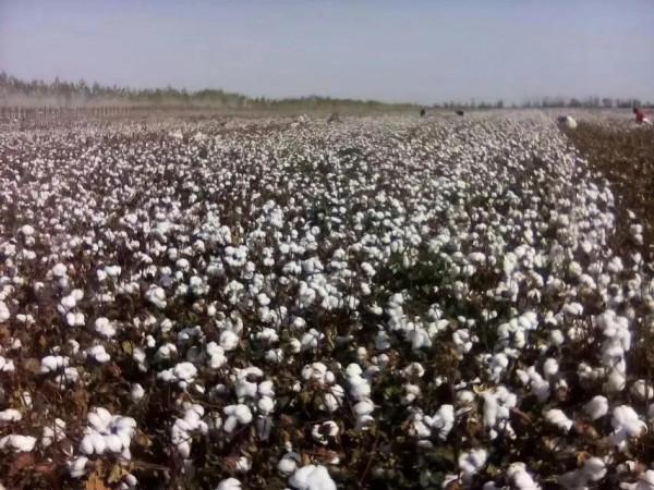 老朋友，10年未見了，你過得還好嗎