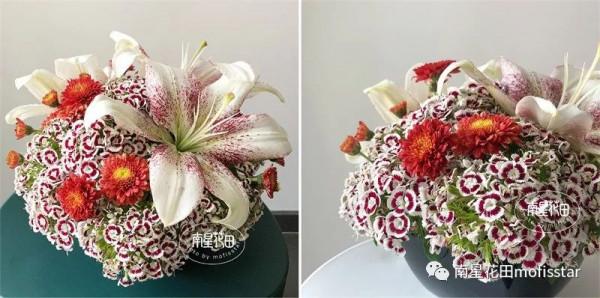 迷蝶香妃石竹梅 · 團花如雲