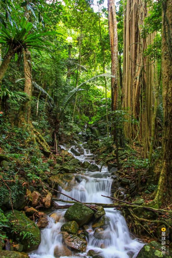 出發！看中國五大國家公園