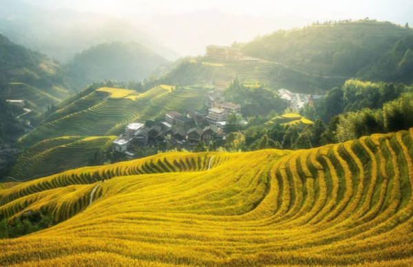 有一種人，在異鄉定居多年，仍然盼望回到家鄉