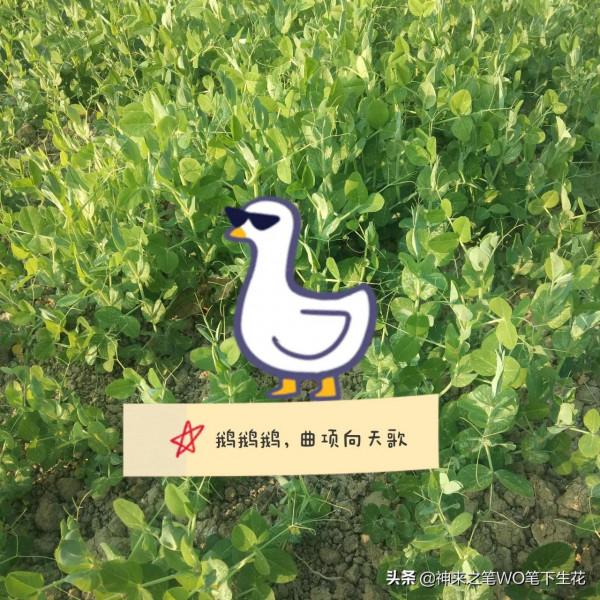 夢遇唐太宗李世民,魏徵站在一旁,聽我來直諫 夢遇唐太宗李世民,魏徵站在一旁,聽我來直諫