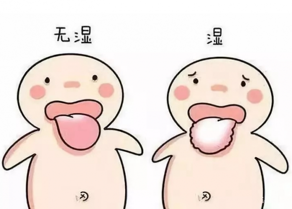 脾溼，寒溼內盛或溼熱內蘊？怎麼進行調理？以健脾祛溼為主