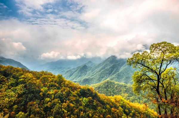 西峽這個地方秋色“蠢蠢欲動”，是時候開啟一場深秋之旅啦