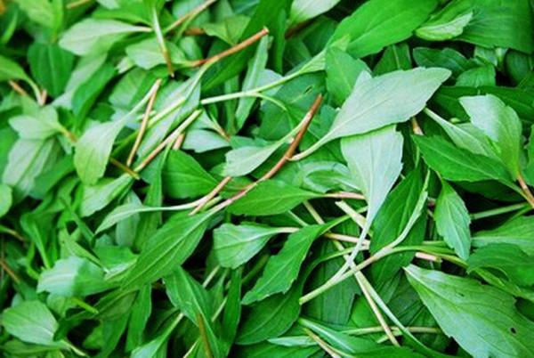 尿酸高的人，多吃蔬菜？提醒：預防痛風發作，4種蔬菜或不宜多吃