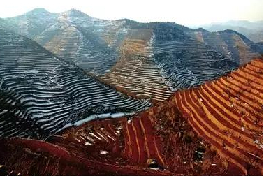 魏銀倉的跑路局：忽悠董明珠為&OpenCurlyDoubleQuote;8萬億&rdquo;買單，騙走10億跑路美國