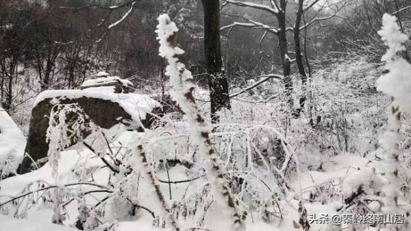 四人相約去終南山拜師學藝,大雪天道長如何考驗他們,誰會留下? 四人相約去終南山拜師學藝,大雪天道長如何考驗他們,誰會留下?