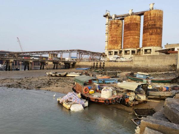 兩隻年輕白鷺互相追逐嘻鬧/避風塢裡瞬間捲起春潮