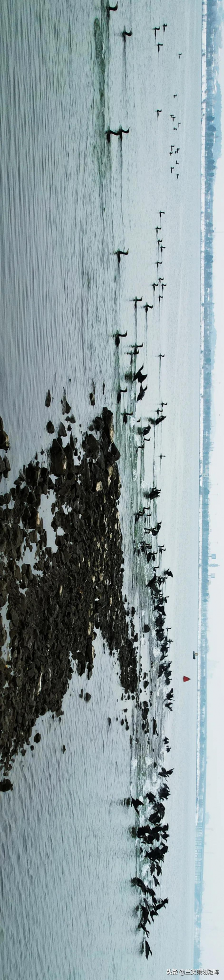 銀裝素裹的世界！冬季到柳葉湖來看雪