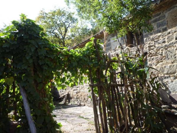 藏在深山人不知的古村,卻是世外桃源,太美了 藏在深山人不知的古村,卻是世外桃源,太美了