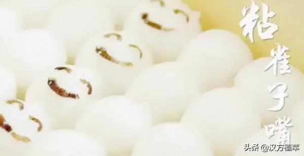 秋分養生 | 益肺潤燥，調和陰陽