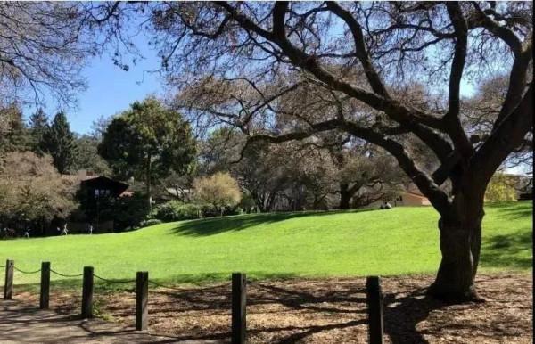 哈佛大學學生集體“裸奔”?名校限制級文化除了哈佛還有耶魯 哈佛大學學生集體“裸奔”?名校限制級文化除了哈佛還有耶魯