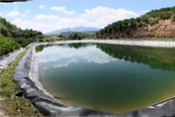 花了6年走訪2000個果園基地,我們總結了一些基地不體面的死法 花了6年走訪2000個果園基地,我們總結了一些基地不體面的死法