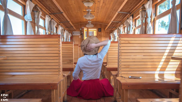 曾破吉尼斯世界紀錄！80萬畝花海齊綻放！這裡藏著國內最早的春天