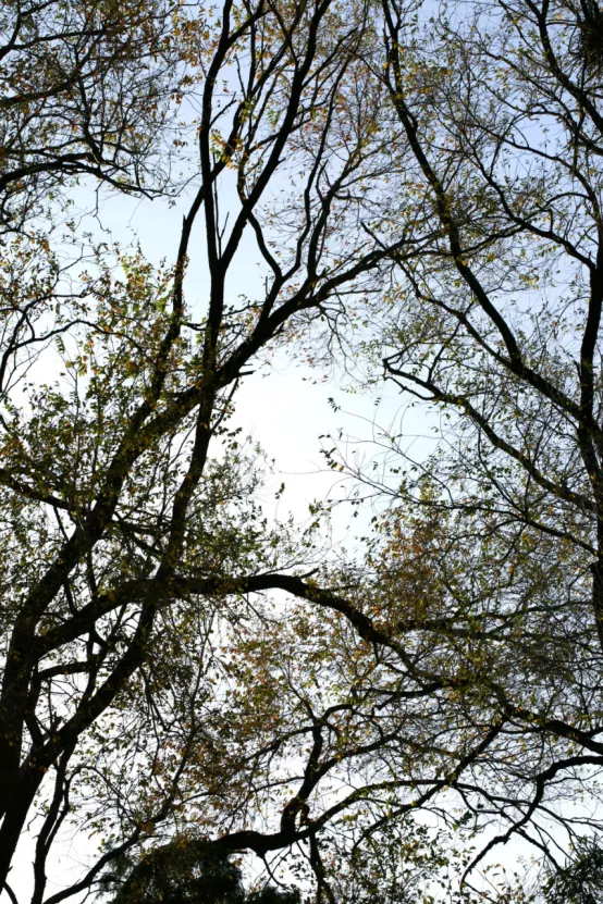 聯莊村：一個＂整＂出來的野趣盎然江南水鄉