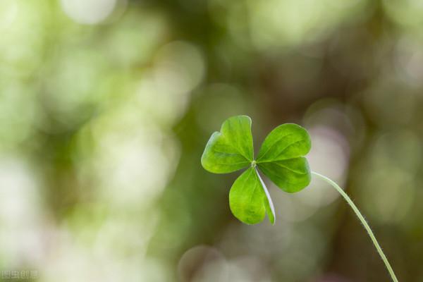 一歲有一歲的味道，一站有一站的風景：正確對待各種不如意