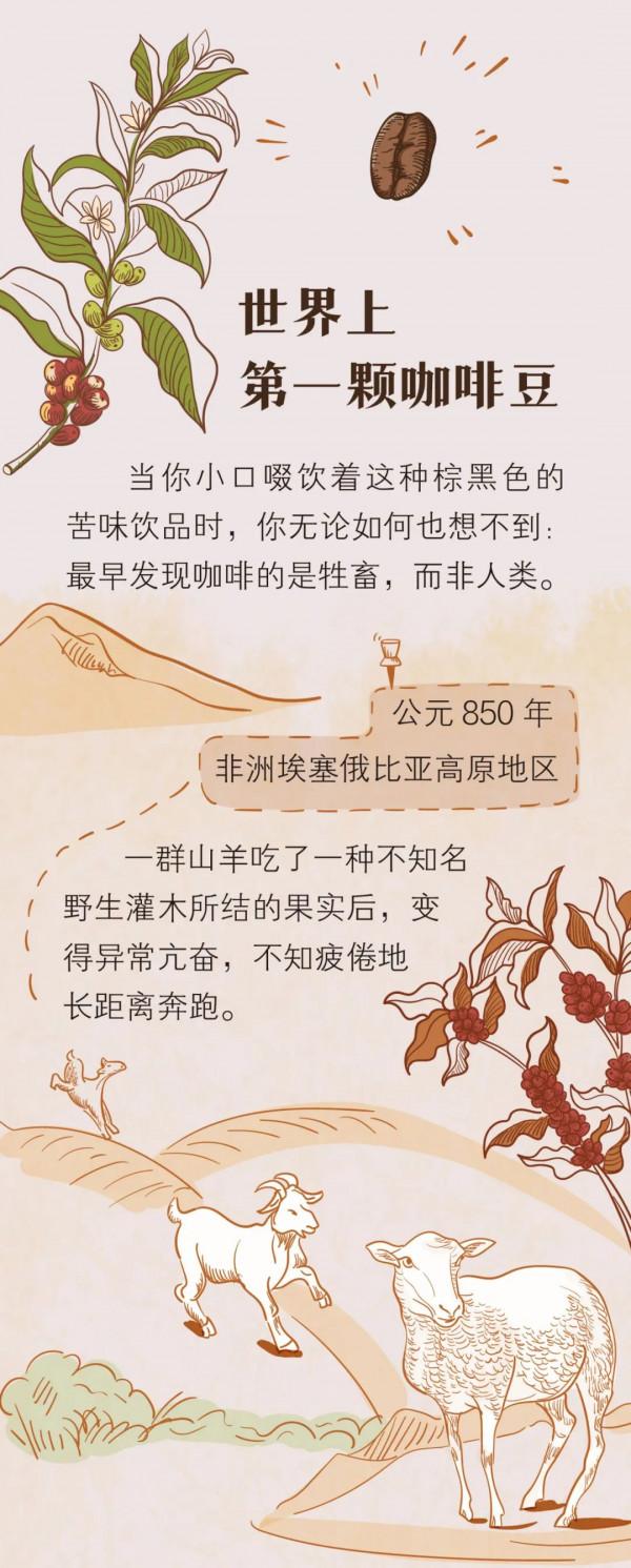 長期喝咖啡的人，身體到底強在哪兒？